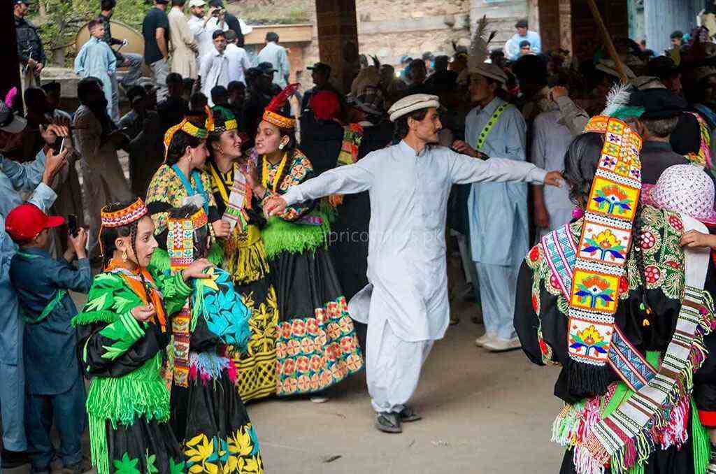 chilamjoshifestival-f-img